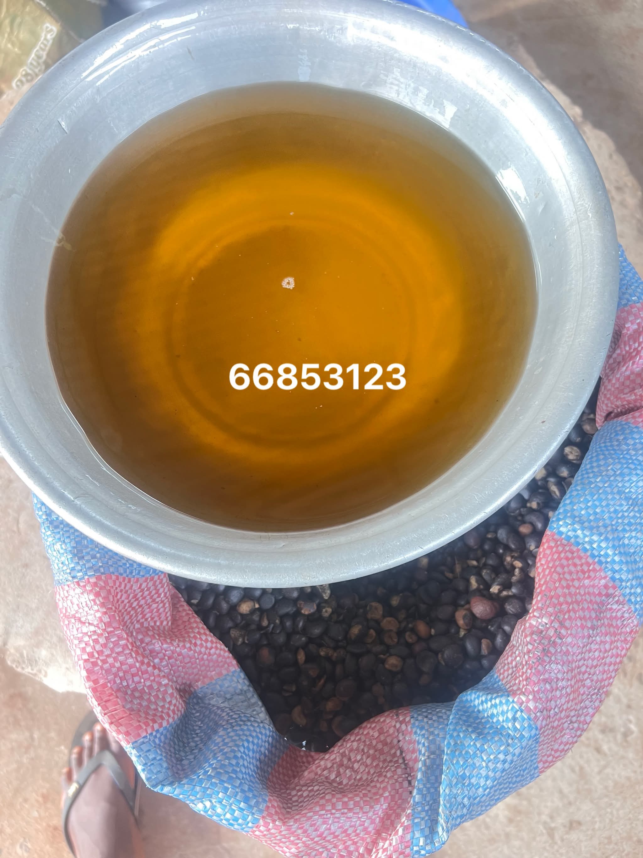 Huile de Palmiste 100% Naturelle – Pour