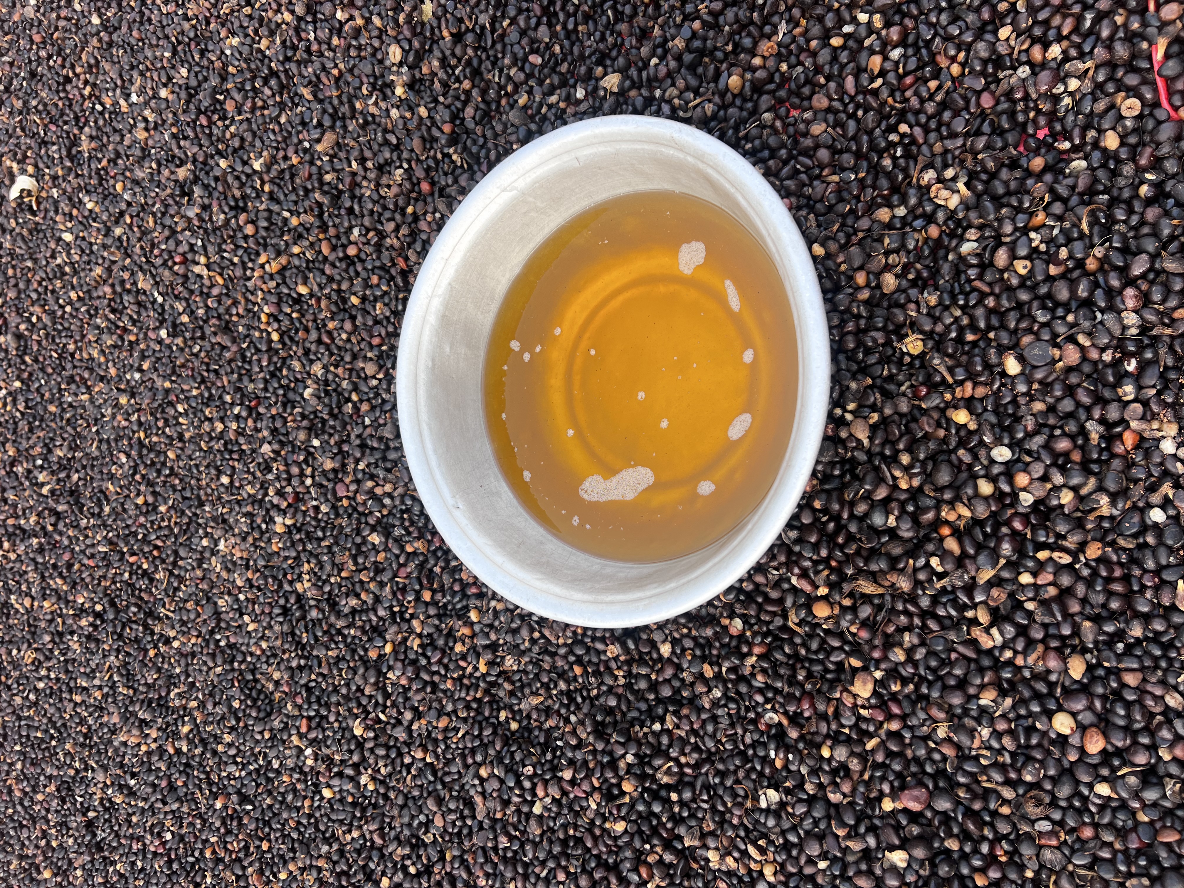 Huile de Palmiste 100% Naturelle – Pour